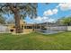 Spacious backyard with a large tree and a screened pool at 868 James St, Dunedin, FL 34698