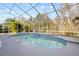Inviting pool area featuring a uniquely shaped pool with blue tile accents under a screened enclosure at 22847 Sonoma Ln, Lutz, FL 33549