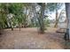Partially shaded backyard with mature trees at 4110 Wedgemere Dr, Tampa, FL 33610
