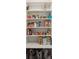 Well-stocked pantry with ample shelving for food storage at 8304 Sandstone Ct, Tampa, FL 33615