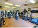 Fitness center with treadmills and exercise equipment at 10110 Winsford Oak Blvd # 612, Tampa, FL 33624