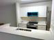 Modern kitchen with white cabinets and stainless steel appliances at 10110 Winsford Oak Blvd # 612, Tampa, FL 33624