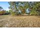 View of a home partially obscured by trees in a large backyard at 1130 Barranca Ave, Spring Hill, FL 34609
