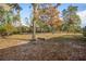 Spacious backyard with mature trees and a partially visible house at 1130 Barranca Ave, Spring Hill, FL 34609