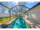 A screen-enclosed backyard pool area featuring a large pool and patio area at 11652 Palmetto Pine St, Riverview, FL 33569
