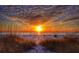 Stunning sunset view over the beach with tall grass in foreground at 204 163Rd Ave, Redington Beach, FL 33708