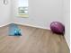 Home exercise room with yoga mat and weights at 33157 Rosewood Bark Way, Wesley Chapel, FL 33545