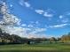 Expansive backyard with green lawn, trees, and fence under a partly cloudy sky at 13621 Mcintosh Rd, Thonotosassa, FL 33592