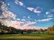 Expansive backyard with green lawn, trees, and fence under a partly cloudy sky at 13621 Mcintosh Rd, Thonotosassa, FL 33592