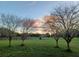 Picturesque backyard with trees and a green lawn under a colorful sky at 13621 Mcintosh Rd, Thonotosassa, FL 33592