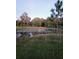 Idyllic pond surrounded by lush greenery and trees reflecting sunlight at 13621 Mcintosh Rd, Thonotosassa, FL 33592