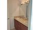 Double vanity bathroom with a large mirror at 1760 Dorothy Blvd, Lutz, FL 33558