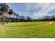 Large grassy lawn area with trees and walkway at 4527 W La Villa Ln, Tampa, FL 33611