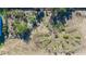 Aerial view of a lush garden with various plants and organized plots at 6117 E 113Th Ave, Temple Terrace, FL 33617