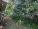 Partially wooded backyard with chain link fence at 1601 Lakeview Rd, Clearwater, FL 33756