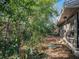 Landscaped backyard with mature trees and privacy at 1601 Lakeview Rd, Clearwater, FL 33756