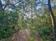 Scenic nature trail winding through lush greenery and trees, creating a serene and inviting pathway at 7602 Antilla St, Tampa, FL 33625