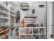 Well-organized pantry featuring ample shelving, counter space, and decorative touches, creating a functional storage area at 7602 Antilla St, Tampa, FL 33625