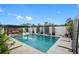 Backyard pool area with a lounge area under a pergola and decorative privacy screens at 7602 Antilla St, Tampa, FL 33625