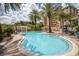 Community pool area with palm trees, lounge chairs, and lush landscaping at 12077 Gandy N Blvd # 332, St Petersburg, FL 33702