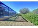 Screened enclosure with lush landscaping and a grassy backyard at 13181 Linzia Ln, Spring Hill, FL 34609