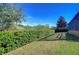 Landscaped backyard with a neatly trimmed hedge bordering the property at 13181 Linzia Ln, Spring Hill, FL 34609