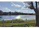 Scenic lake view showcasing serene blue waters and lush green surroundings, creating a tranquil and picturesque setting at 12506 Forest Hills Dr, Tampa, FL 33612
