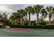 Enjoy a game on this well maintained outdoor court at 5006 Ruby Flats Dr, Wimauma, FL 33598