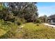 Large backyard with overgrown landscaping and pool at 6006 Soaring Ave, Temple Terrace, FL 33617