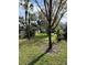 Landscaped backyard area with lush green grass and mature trees at 6232 Bayside Key Dr, Tampa, FL 33615