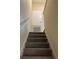 Carpeted stairway with white railing leading to the upper level, providing safe access between floors at 6232 Bayside Key Dr, Tampa, FL 33615