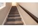 Carpeted staircase with dark wood handrail leading to the upper level at 7133 Summer Holly Pl, Riverview, FL 33578