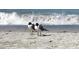 Two seagulls stand on a sandy beach near ocean waves at 100 Bluff View Dr # 415A, Belleair Bluffs, FL 33770