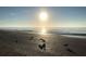 Seagulls on sandy beach at sunrise at 100 Bluff View Dr # 415A, Belleair Bluffs, FL 33770