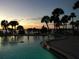 Community pool at sunset with palm trees at 100 Bluff View Dr # 415A, Belleair Bluffs, FL 33770