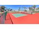 Brightly painted outdoor pickleball courts surrounded by tropical landscaping, enhance community living at 273 Madeira Cir, Tierra Verde, FL 33715