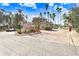 Gated community entrance with palm trees and landscaping at 4409 Whitton Way, New Port Richey, FL 34653