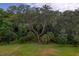 Mature oak trees and lush greenery at 26888 Fiddlewood Loop, Wesley Chapel, FL 33544