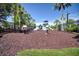 playground with safe surfacing and play equipment at 26888 Fiddlewood Loop, Wesley Chapel, FL 33544