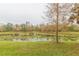 Serene pond with lush greenery and lily pads at 9024 White Sage Loop # 37, Lakewood Ranch, FL 34202
