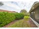 Landscaped backyard with lush greenery and privacy hedge at 2620 Newcomb Ct, Sun City Center, FL 33573