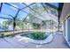 Enclosed pool with lush landscaping and seating area at 3613 S Omar Ave, Tampa, FL 33629