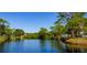 Scenic view of a serene pond surrounded by lush trees and greenery at 538 Southwest N Blvd, St Petersburg, FL 33703
