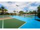 Well-maintained pickleball courts for recreation at 16820 Anchor Root St, Wimauma, FL 33598