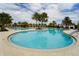 Resort-style pool with palm trees and lounge chairs at 16820 Anchor Root St, Wimauma, FL 33598