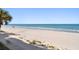 Beautiful beach view with palm trees and walkway at 3100 Gulf Blvd # 424, Belleair Beach, FL 33786