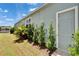 Landscaped yard with various trees and plants along the side of the house at 1074 Signet Dr, Apollo Beach, FL 33572