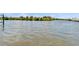 Waterfront view of calm water and lush vegetation at 1074 Signet Dr, Apollo Beach, FL 33572