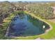 Scenic aerial view of a tranquil pond, surrounded by lush greenery and mature trees at 5606 Pinnacle Heights Cir # 304, Tampa, FL 33624