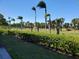 Expansive view of the golf course and palm trees at 12300 Vonn Rd # 6103, Largo, FL 33774